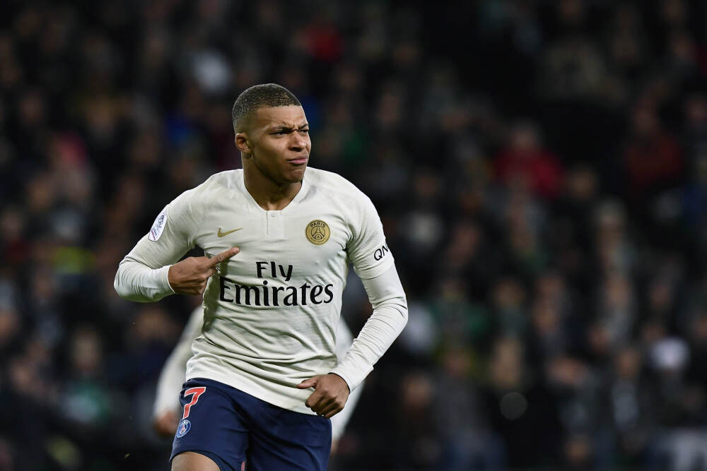 特色年宵花上新 各地畅销品种不同 你选哪一种？